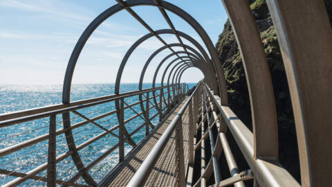 Gobbins