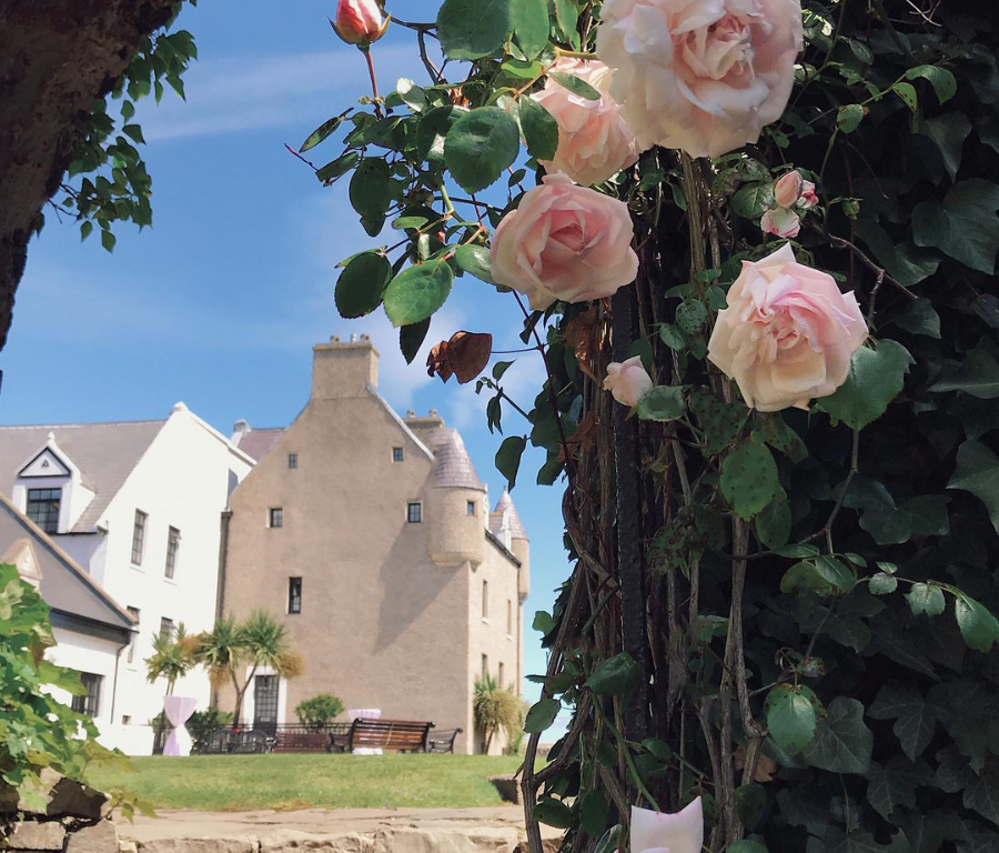 Guests enjoy blooming pink roses framing a historic hotel courtyard with charming stone architecture, ideal for relaxing retreats.